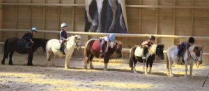 cours d’équitation pour enfants