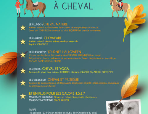 PROGRAMME STAGESVACANCES TOUSSAINT 2021  – CHEVAL