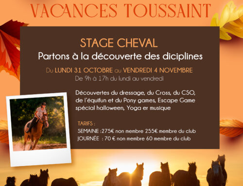 Stage cheval