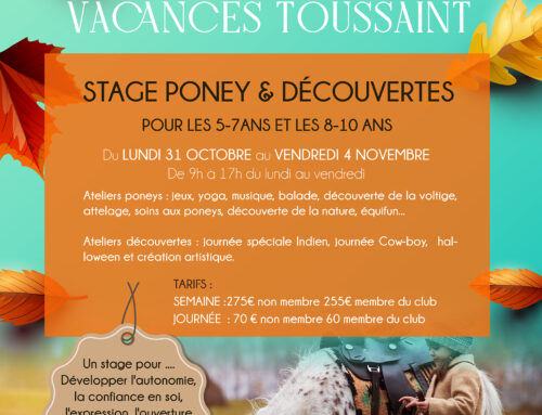 Stage poney & découvertes