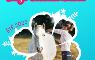 Stage vacances Cheval