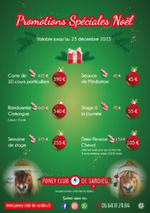 promotions spéciales Noël 2023