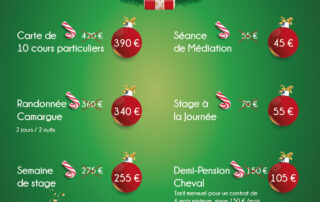 promotions spéciales Noël 2023