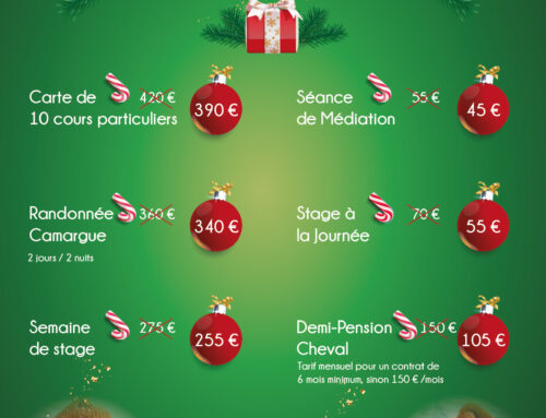 Promotions Spéciales Noël 2023