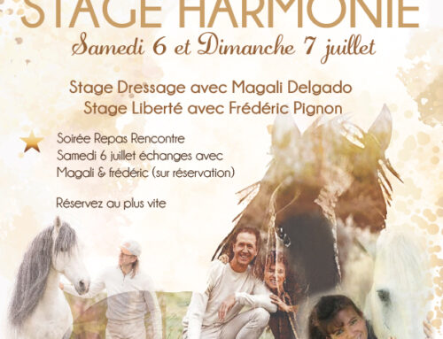 STAGE HARMONIE – Magali Delgado & Frédéric Pignon